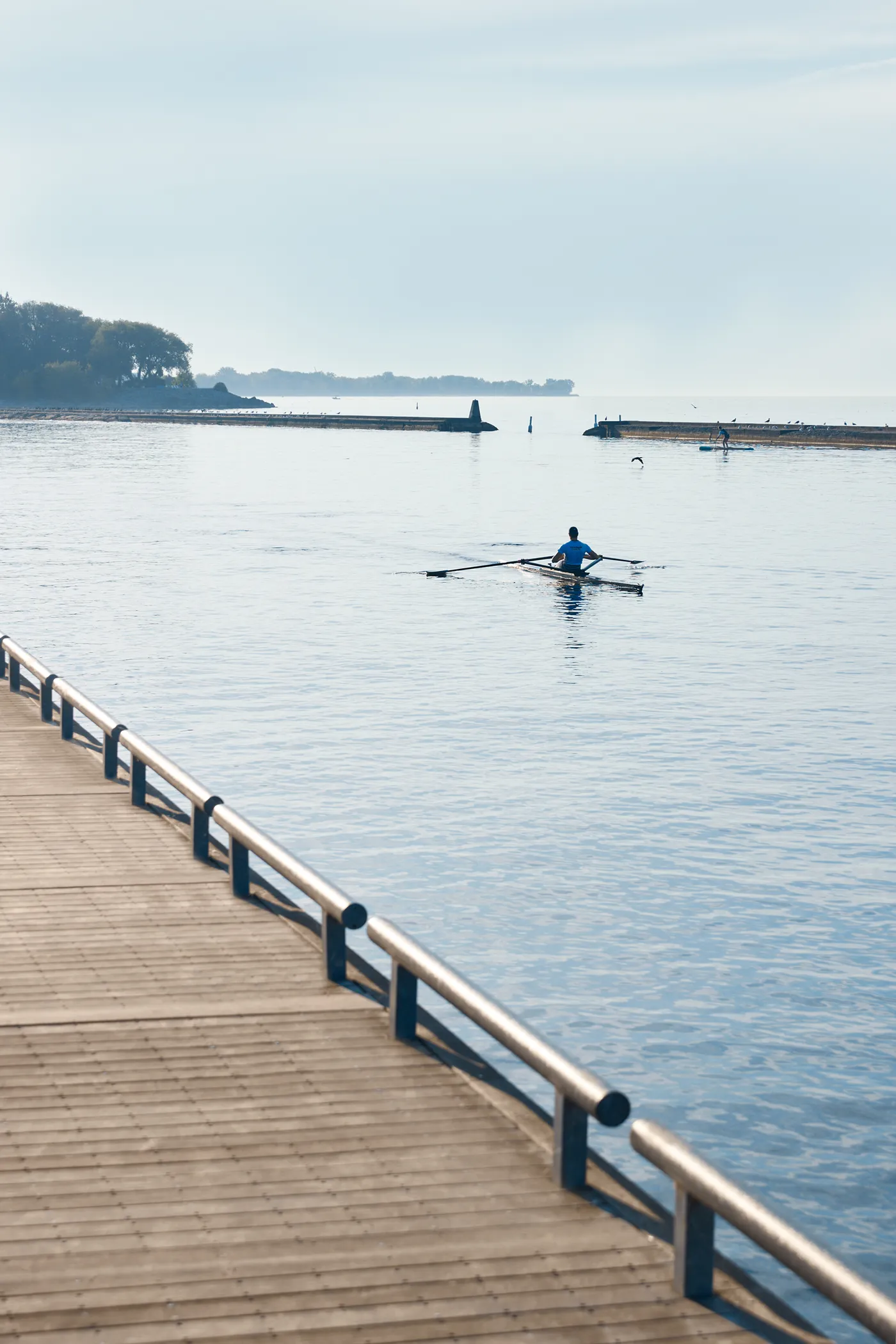 A rower on calm water beside a wooden boardwalk — official South Banks photography (DO_SB_Photography-9) near the Lake Ontario shoreline.